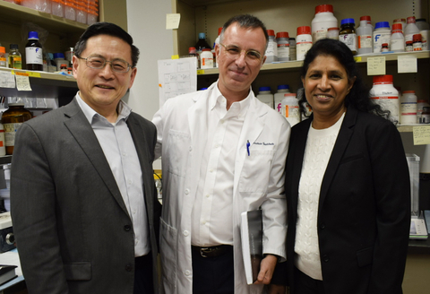 Drs. Ping Wang, Max Brenner and Asha Jacob Varghese will lead the study. (Credit: Feinstein Institutes).