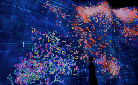thumbnail teamLab，毛毛虫之家的蝴蝶翩翩起舞 (c) teamLab - “毛毛虫之家的快速旋转弹跳球”中诞生的毛毛虫蜕变成蝴蝶，并聚集成群。当游客触碰蝴蝶时，它们便四散而亡。