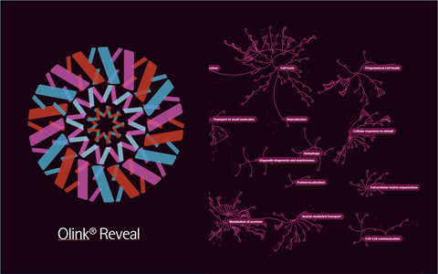 New Olink Reveal next generation sequencing-based proteomics kits are designed to integrate with multiple NGS platforms, eliminating the need for new instrumentation or specialized expertise (Graphic: Business Wire)