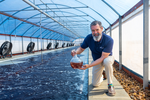 CH4 Global CEO Steve Meller holds a flask of Asparagopsis while kneeling beside a large-scale cultivation pond at the company’s EcoPark in Louth Bay, South Australia, the world’s first commercial-scale facility for growing the red seaweed. The Asparagopsis in the flask, harvested directly from the pond, will be processed into Methane Tamer™, CH4 Global’s feed supplement that reduces methane emissions from cattle by up to 90%. The EcoPark marks a breakthrough in scaling this natural solution, paving the way for gigaton-scale climate impact. (Photo: Business Wire)