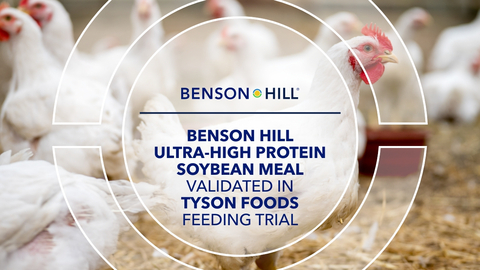 Benson Hill, Inc. (Nasdaq: BHIL, the “Company” or “Benson Hill”), a seed innovation company, today announced positive results from a controlled broiler feeding trial conducted with Tyson Foods. Study findings, consistent with those released in May 2024, demonstrate how Benson Hill’s Ultra-High Protein, Low Oligosaccharide (UHP-LO) soybean meal offers a high-performance, cost-effective alternative to conventional soybean meal in poultry nutrition. (Graphic: Business Wire)