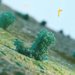  Owkin annuncia la somministrazione al primo paziente nello studio clinico di Fase I ottimizzato per l'IA di OKN4395, un triplo inibitore EP2/EP4/DP1 di prima classe per i pazienti con tumori solidi