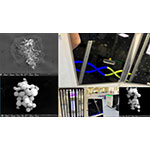 Dante Genomics si espande in Dante Omics AI: Pionieri del futuro della medicina personalizzata