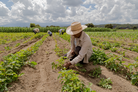 FoodChain ID and &Wider have announced a partnership for risk-based monitoring and auditing of food industry worker conditions to protect workers and food brands. (Photo: Business Wire)