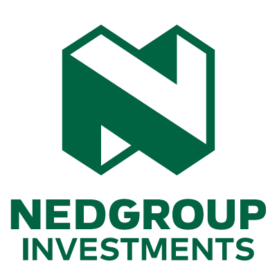 Nedgroup Investments Logo