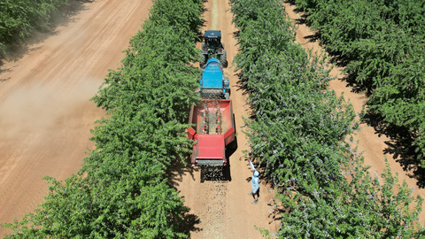 Topcon Agriculture and Bonsai Robotics announced a joint initiative to advance agricultural automation for permanent crops. (Photo: Business Wire)