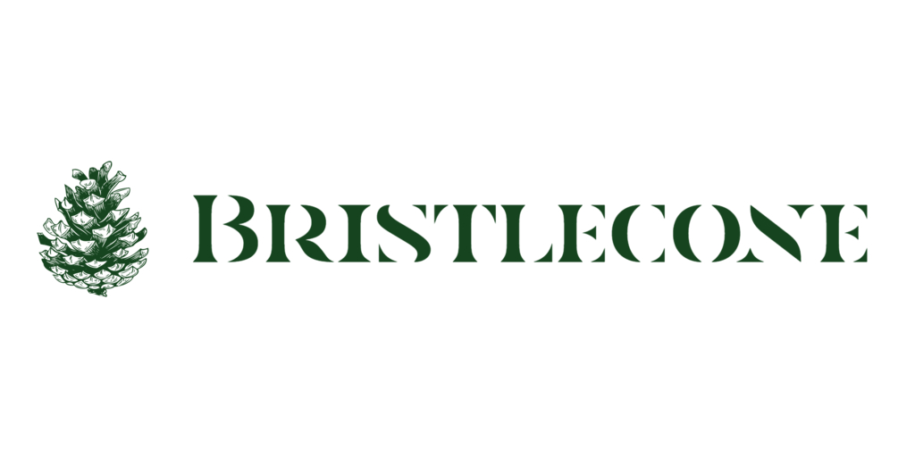 Bristlecone Companies Invests in Systrends