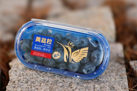 original Agrovision’s first locally grown premium blueberries sold under the Meiyili (美益粒) brand have arrived in China. (Photo: Agrovision)