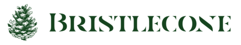 Bristlecone Companies Logo