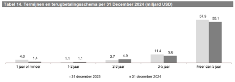 Tabel 14. Termijnen en terugbetalingsschema per 31 December 2024 (miljard USD) (Graphic: Business Wire)