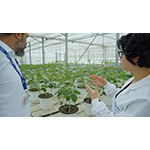 Syngenta_strengthens_global_leadership_in_agricultural_biologicals.jpg