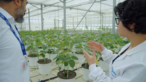 Syngenta strengthens global leadership in agricultural biologicals. (Photo: Business Wire)