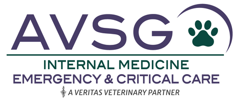 AVSG IMERCC Logo