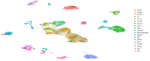 Preliminary data from Parse's chromatin assay showing clustering of mouse brain nuclei based on DNA accessibility profiles. (Graphic: Business Wire)