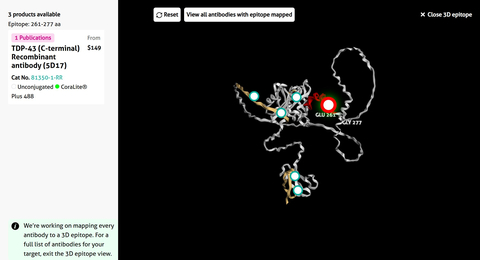 On the Proteintech website (ptglab.com), researchers can explore antibody binding sites with the new interactive 3D epitope viewer. (Photo: Business Wire)