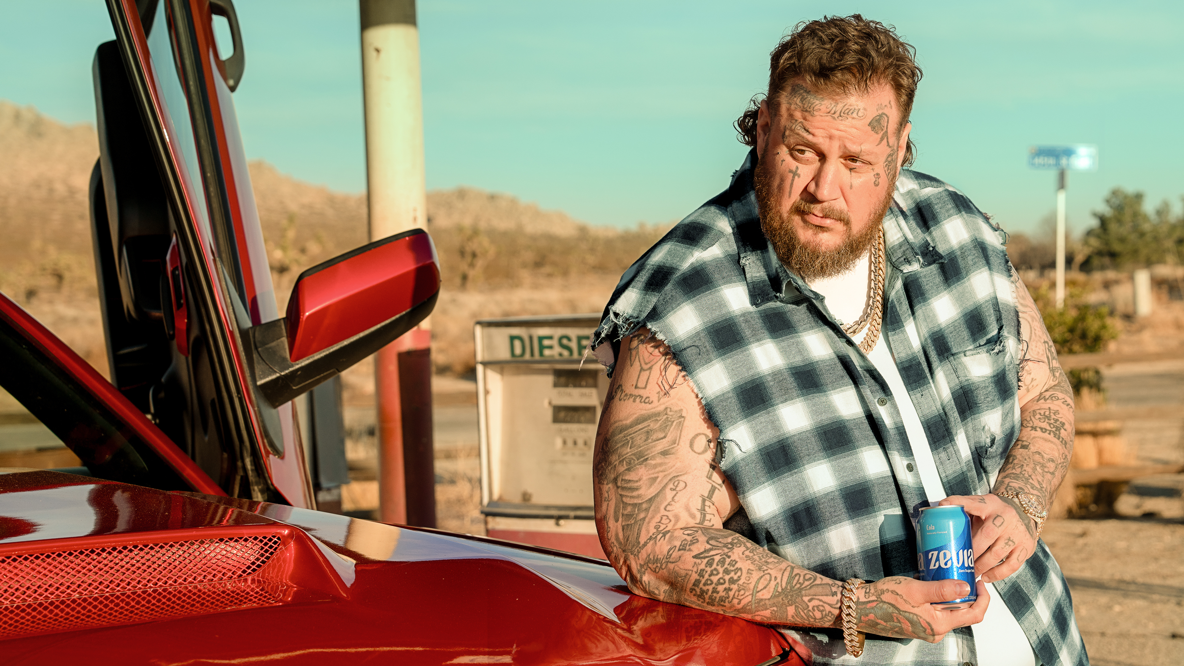 Zevia 'Gets the Fake Outta Here' in New Campaign Starring Country