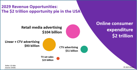 2029 revenue opportunities (Graphic: Business Wire)