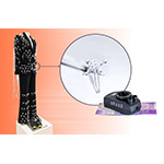  Le tecnologie di Regula entrano nelle sfilate di moda all'Intergraf Currency+Identity di Milano