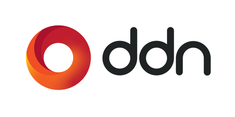 DDN Logo