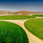  Sharjah batte ogni record di qualità nutritiva grazie a innovative tecniche alimentari