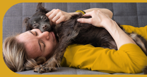 original We love our pets like family.