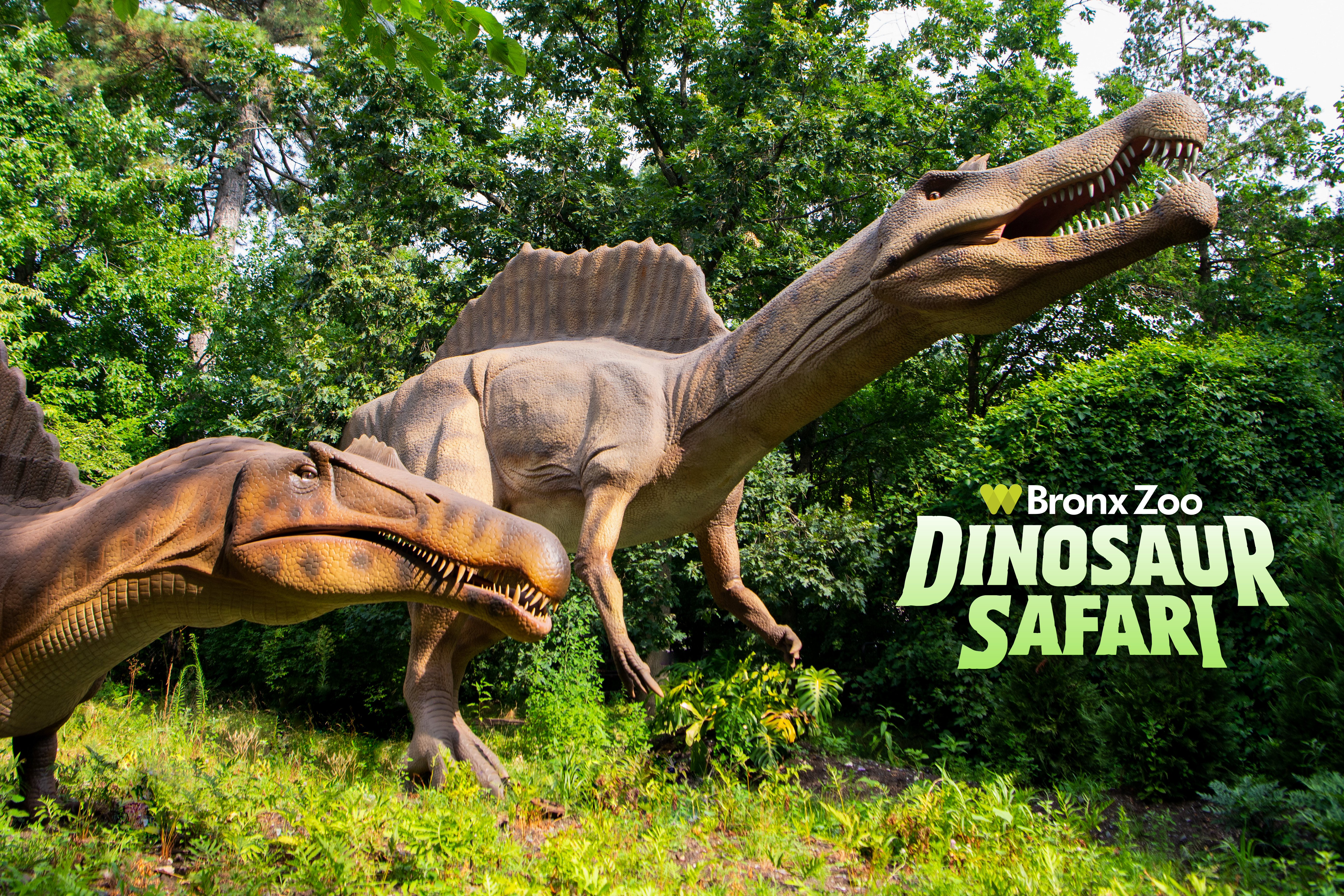 Roar Into Spring: Dinosaur Safari Returns to Bronx Zoo