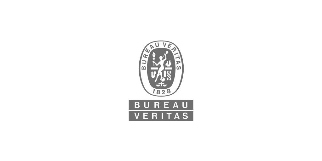 337Px Logo Bv Rgb Gray %28Transparent%29