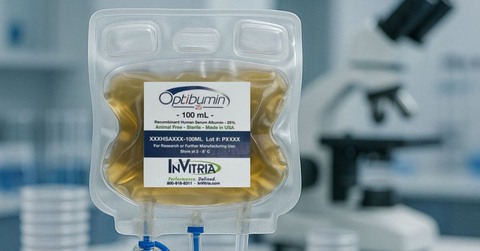 original Optibumin® 25 – a 25% recombinant human serum albumin (rHSA) solution developed by InVitria – offers an animal-origin-free, GMP-compliant alternative to plasma-derived albumin for closed-system biomanufacturing.