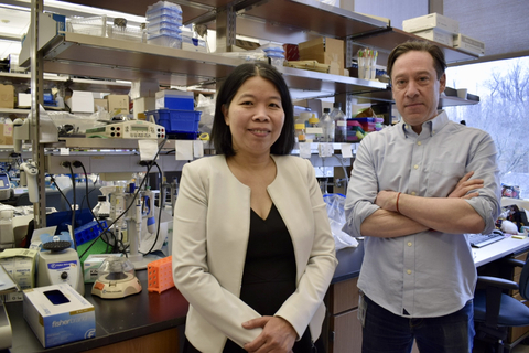 original Drs. An Vo and Jeremy Koppel led the study. (Credit: Feinstein Institutes).