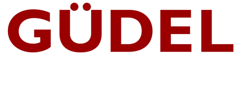 Güdel Inc. Logo
