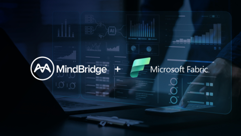 original MindBridge integrates with Microsoft Fabric to give finance full control over automated risk analysis