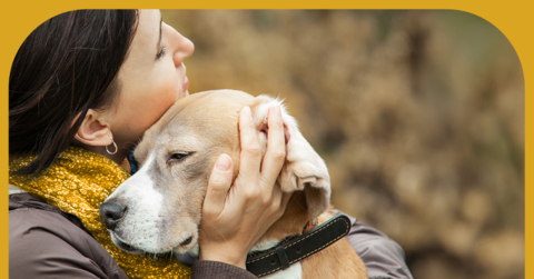 original Canine Cognitive Dysfunction (CCD) is a crippling neurological disorder affecting 31M dogs in the USA today.