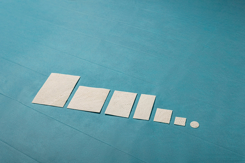 Kerecis MariGen® fish-skin grafts