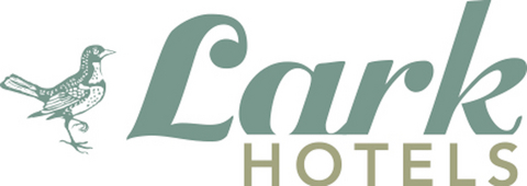 Lark Logo