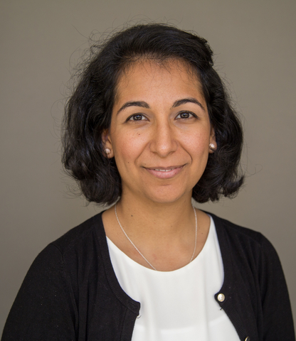 original Marjan Berg, Second Vice President and Actuary, Asset Liability Management and Capital Analytics at The Standard