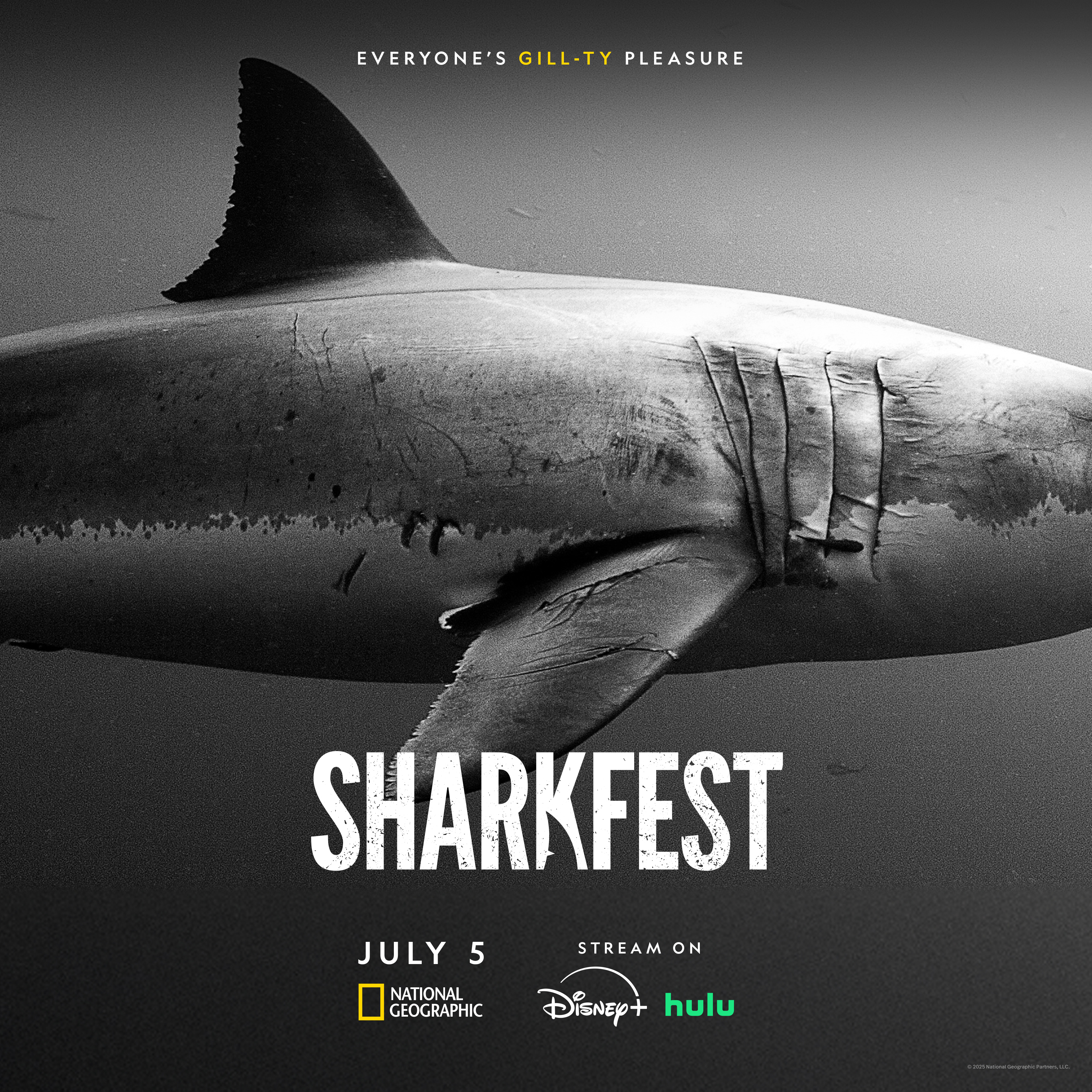 National Geographic’s Fin-Favorite Summer Event Returns With Over 25 ...