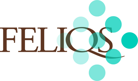 FELIQS CORPORATION Logo
