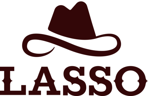 Lasso Security Logo
