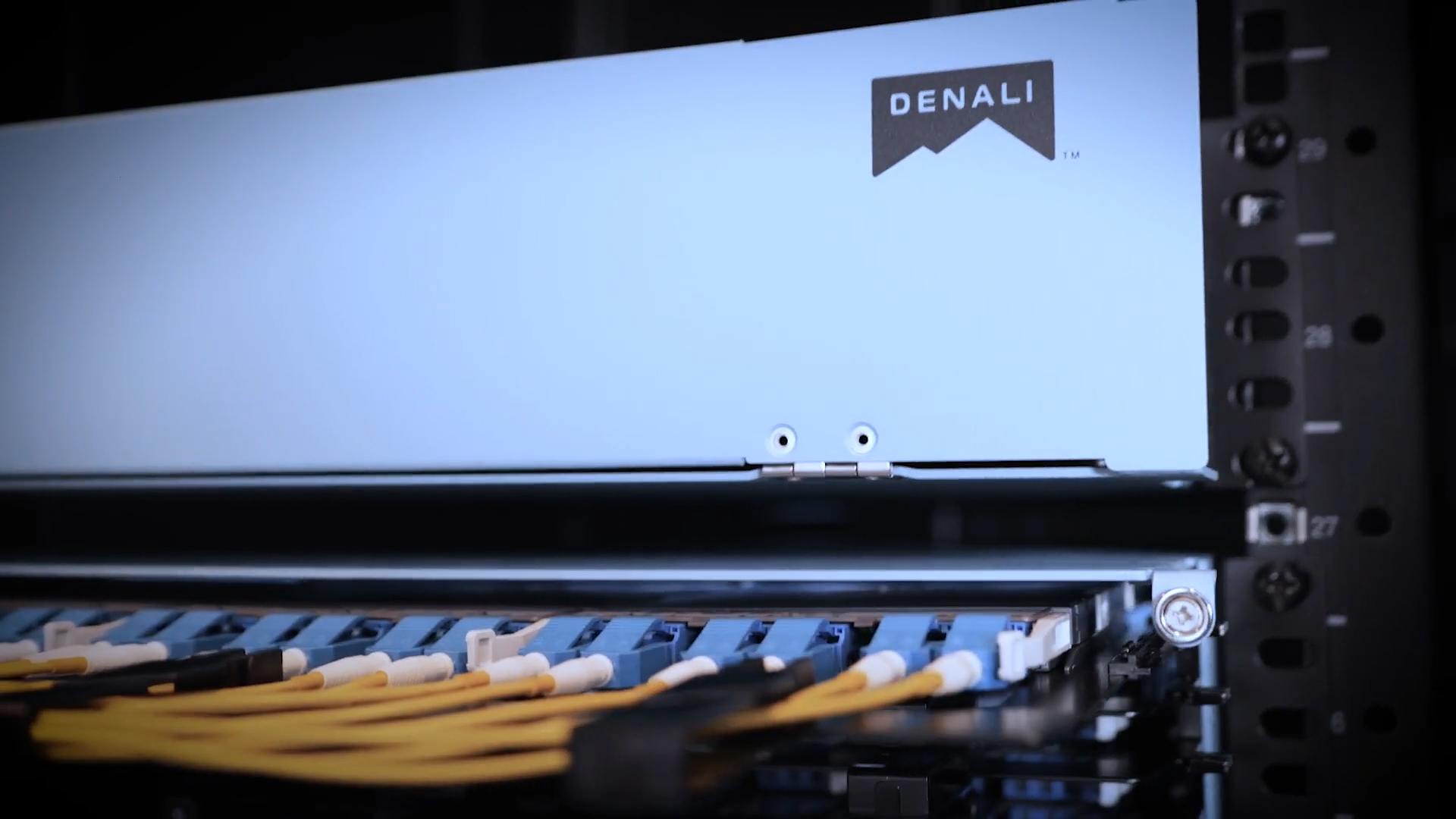 thumbnail AFL Introduces DENALI