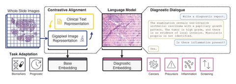 original PRISM2 combines whole-slide images and clinical language using a large language model to generate diagnostic insights, summaries, and answer both simple and complex diagnostic questions.