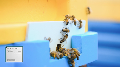 original Apiary Master gets beekeepers buzzing with Quectel EG21-powered Direct to Cell connectivity
