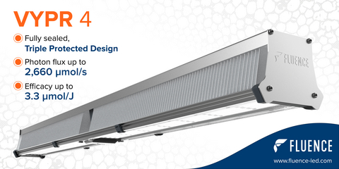 thumbnail Fluence announced VYPR 4, the latest fixture in its VYPR top light series.