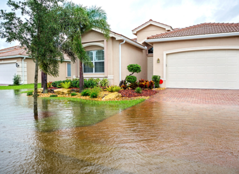original Distinguished Programs announces a new collaboration with Wright Flood to provide Flood insurance for its Community Associations program.