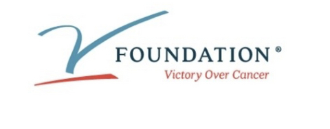 V Foundation Logo