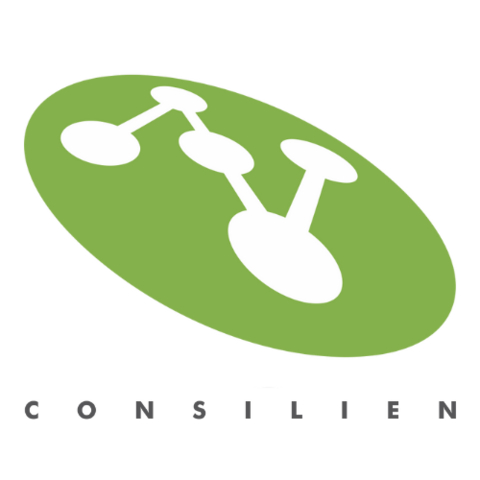 Consilien Logo