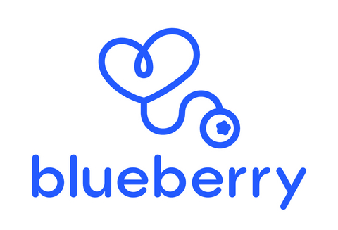 Blueberry Pediatrics Logo