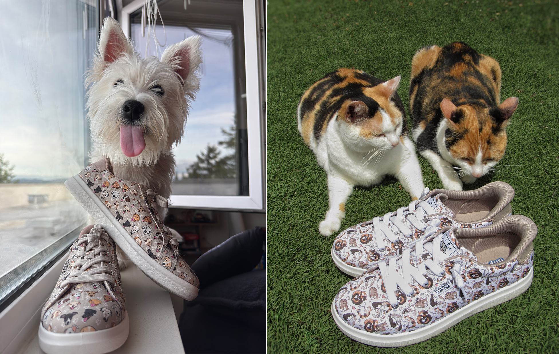 BOBS® from Skechers® Announces Third Year of Paws for a Cause