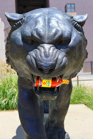 original The Original Louisiana Brand Hot Sauce is now the Official Hot Sauce of Louisiana State University (LSU) Athletics.