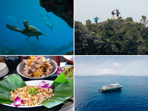 original Hawaii Seascapes with UnCruise Adventures, Just Won Best Hawaii Cruise by USA TODAY