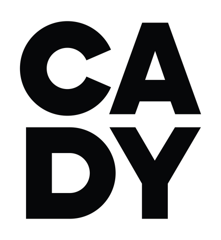 CADY and Lifetouch Logo